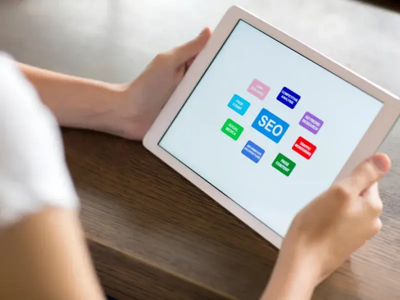 SEO Optimization in Sunshine Coast, QLD - WebsitedesignSunshinecoast.au