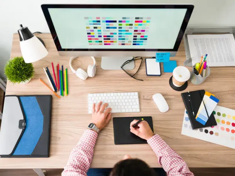 Website Design Services in Palmwoods, QLD - WebsitedesignSunshinecoast.au